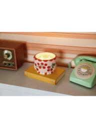 Paddywax A Dopo Heirloom Tomato 4 Wick Candle, 680g - thumbnail 5