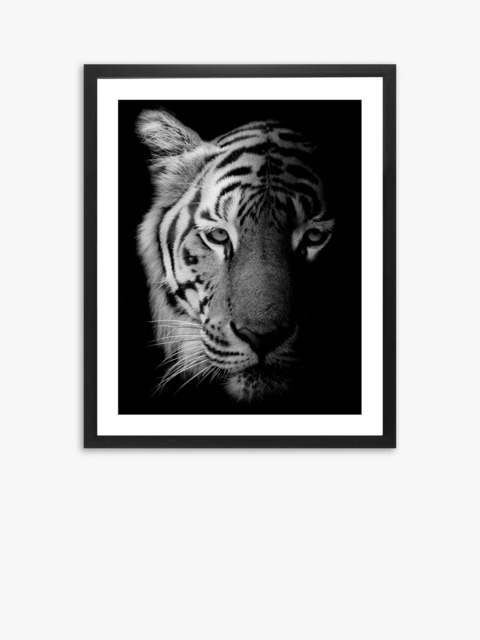 Brookpace Lascelles Tiger Framed Print & Mount, 81 x 65.5, Black/White - image 1