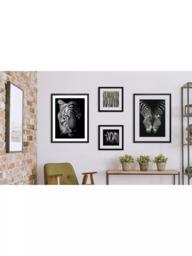Brookpace Lascelles Tiger Framed Print & Mount, 81 x 65.5, Black/White - thumbnail 2
