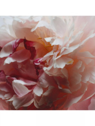 Jo Malone London Peony & Blush Candle - thumbnail 3