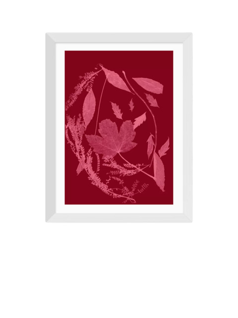 EAST END PRINTS Herald Black 'Red Foliage' Framed Print