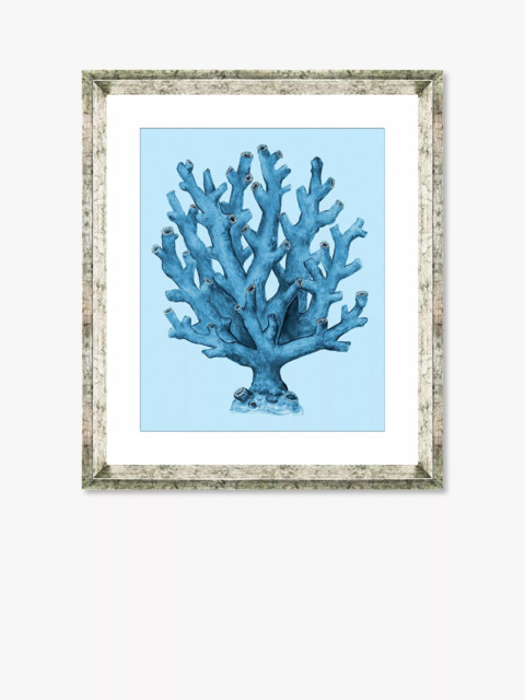 Brookpace Lascelles 'Blue Coral 4' Framed Print & Mount, 46 x 36cm, Blue - image 1