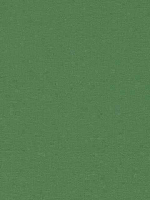 Harlequin Allegra Made to Measure Curtains or Roman Blind, Nettle - image 1