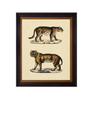 Brookpace Lascelles 'Animal Studies II' Framed Print, 50 x 40cm, Brown/Cream - thumbnail 1