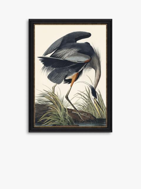 John Lewis John James Audubon 'Great Blue Heron' Framed Print, 77 x 57cm - image 1