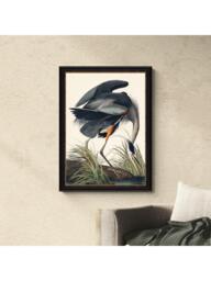 John Lewis John James Audubon 'Great Blue Heron' Framed Print, 77 x 57cm - thumbnail 2