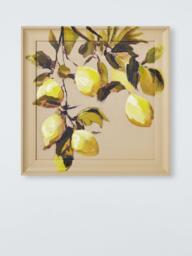 John Lewis 'Lemon Grove' Hand Painted Framed Wall Art, 40 x 40cm, Yellow/Multi