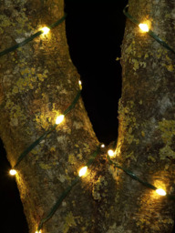NOMA 200 Mini LED Flexwire Fit & Forget Outdoor String Lights, Warm White