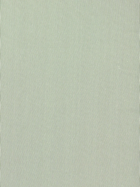 Clarke & Clarke Breton Made to Measure Curtains or Roman Blind, Sage - image 1