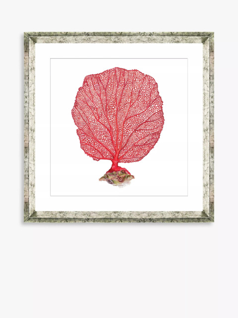 Brookpace Lascelles 'Red Coral 3' Framed Print & Mount, 46 x 46cm, Red - image 1