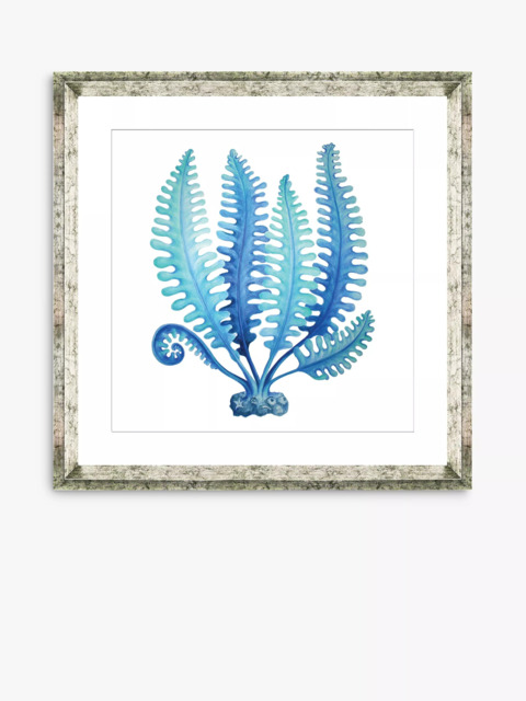 Brookpace Lascelles 'Blue Seaweed 3' Framed Print & Mount, 46 x 46cm, Blue - image 1