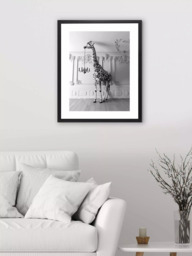 Brookpace Lascelles Giraffe Chandelier Framed Print & Mount, 86 x 66cm, Black/White - thumbnail 2