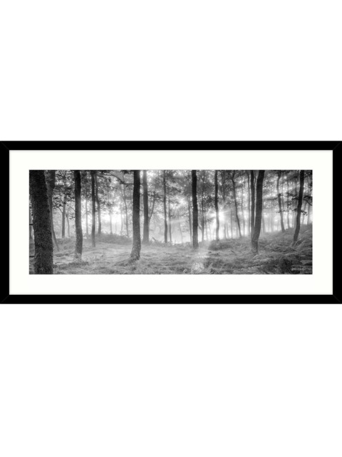 John Lewis Mike Shepherd 'Misty Trees' Framed Print & Mount, 49 x 104cm