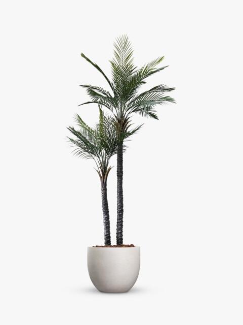 Vistafolia Outdoor Artificial Palma Gemela Palm Tree, 2.1m, Green - image 1