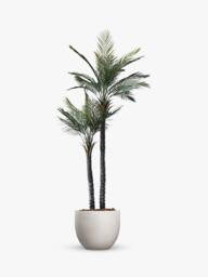 Vistafolia Outdoor Artificial Palma Gemela Palm Tree, 2.1m, Green