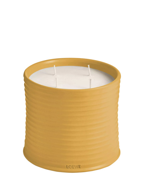 LOEWE Wasabi Scented Candle - image 1