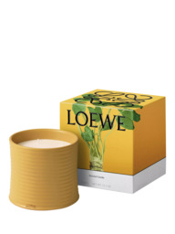 LOEWE Wasabi Scented Candle - thumbnail 2