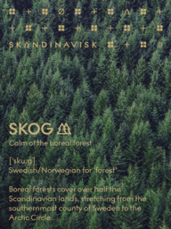 SKANDINAVISK Skog Two Wick Scented Candle, 350g - thumbnail 6