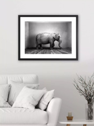 Brookpace Lascelles 'Elephant In The Room' Framed Print & Mount, 65.5 x 85.5cm, Black/White - thumbnail 2