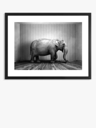 Brookpace Lascelles 'Elephant In The Room' Framed Print & Mount, 65.5 x 85.5cm, Black/White - thumbnail 1