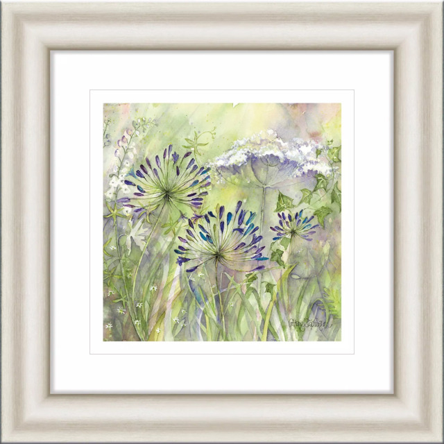 John Lewis Catherine Stephenson 'Agapanthus Grasses II' Framed Print, 50 x 50cm - image 1