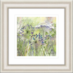 John Lewis Catherine Stephenson 'Agapanthus Grasses II' Framed Print, 50 x 50cm