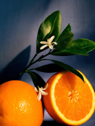 LOEWE Orange Blossom Scented Candle - thumbnail 3