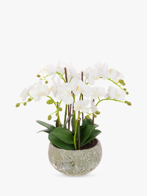 Floralsilk Artificial White Orchid in Clay Pot - image 1