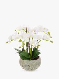 Floralsilk Artificial White Orchid in Clay Pot - thumbnail 1