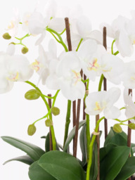 Floralsilk Artificial White Orchid in Clay Pot - thumbnail 2