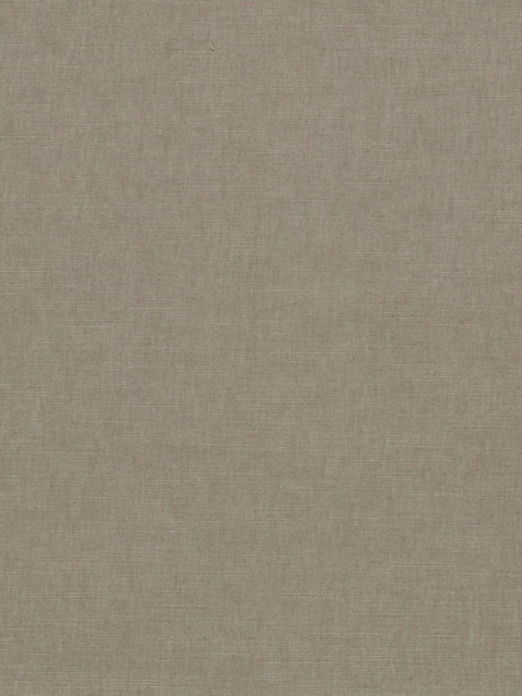 Clarke & Clarke Paradiso Made to Measure Curtains or Roman Blind, Ash - image 1