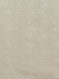 Prestigious Textiles Endless Made to Measure Curtains or Roman Blind, Satinwood - thumbnail 1