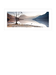 John Lewis James Bell 'Buttermere Tree' Framed Print & Mount, 49.5 x 104.5cm, Blue