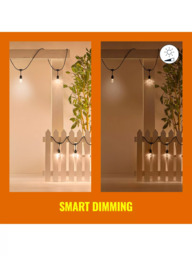WiZ Smart LED White and Colour Outdoor Festoon Lights - thumbnail 5