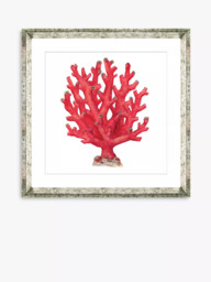 Brookpace Lascelles 'Red Coral 4' Framed Print & Mount, 46 x 46cm, Red - thumbnail 1