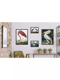 Brookpace Lascelles John James Audubon 'Tropical Bird II' Framed Print, 56 x 46cm, Blue - thumbnail 4