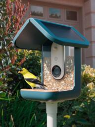 Bird Buddy PRO Camera Bird Feeder, Blue - thumbnail 2