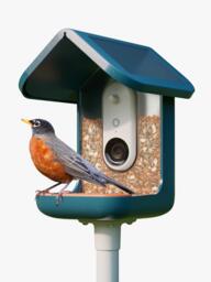 Bird Buddy PRO Camera Bird Feeder, Blue