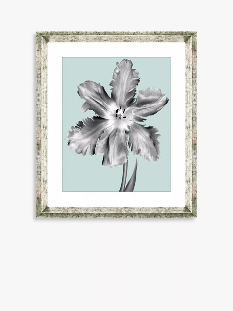 Brookpace Lascelles 'Tulip on Blue 5' Framed Print & Mount, 46 x 36cm, Blue - image 1