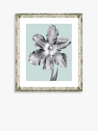 Brookpace Lascelles 'Tulip on Blue 5' Framed Print & Mount, 46 x 36cm, Blue - thumbnail 1