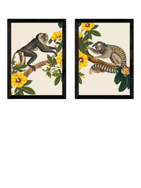 EAST END PRINTS Natural History Museum 'Monkeys' Framed Print, Set of 2