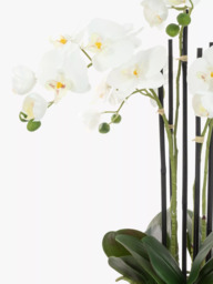 Floralsilk Artificial White Orchid in Geometric Pot - thumbnail 2