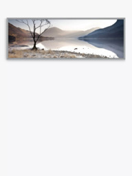 John Lewis James Bell 'Buttermere Tree' Framed Canvas Print, 44 x 124m, Multi - thumbnail 1