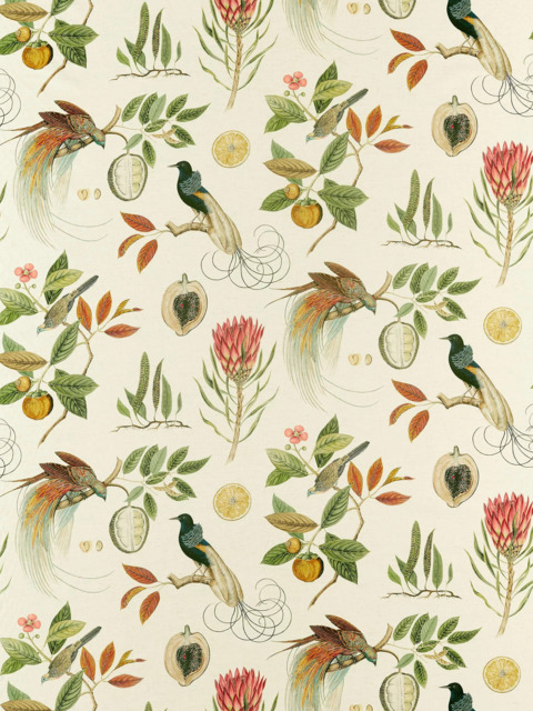 Sanderson Paradesia Made to Measure Curtains or Roman Blind, Orange