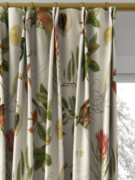 Sanderson Paradesia Made to Measure Curtains or Roman Blind, Orange - thumbnail 4