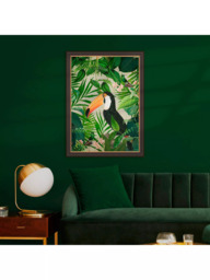 John Lewis Andrea Haase Jungle Toucan Framed Print, 77 x 57cm, Green/Multi - thumbnail 2
