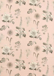 Clarke & Clarke Roseraie Made to Measure Curtains & Roman Blind, Blush