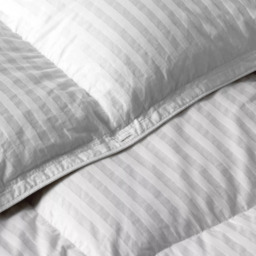 John Lewis Natural Collection Hungarian Goose Down Duvet, 13.5 Tog - thumbnail 4