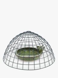 Fallen Fruits Bird Feeder Protection Cage - thumbnail 2