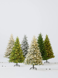John Lewis Unlit Woodland Pine Christmas Tree, 7ft - thumbnail 4